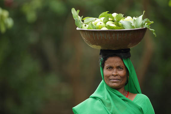 Woman with gauvas 2