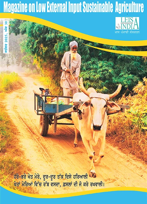 LEISA India magazine Punjabi