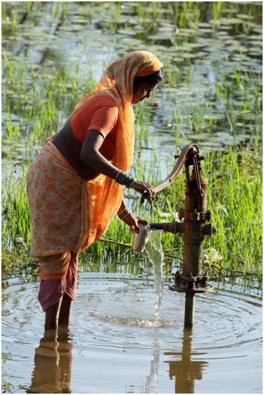 Conserving Peri-Urban Agriculture & Ecosystems to Build Urban Climate Change Resilience in Flood Affected Areas