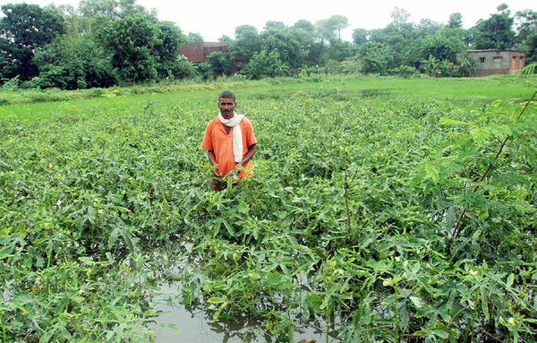 A city grows food on the fringes & flood proofs itself